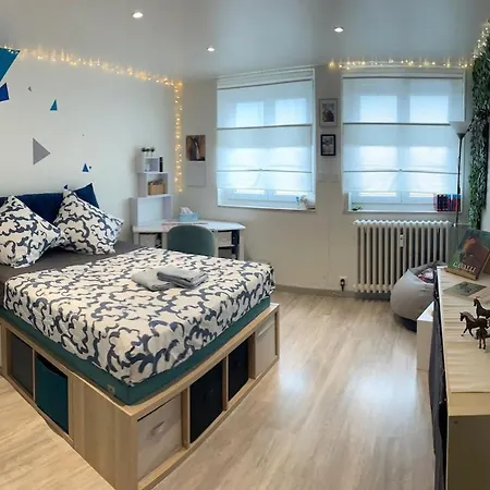 Appartement Le Coeur De - Parking&clim Colmar