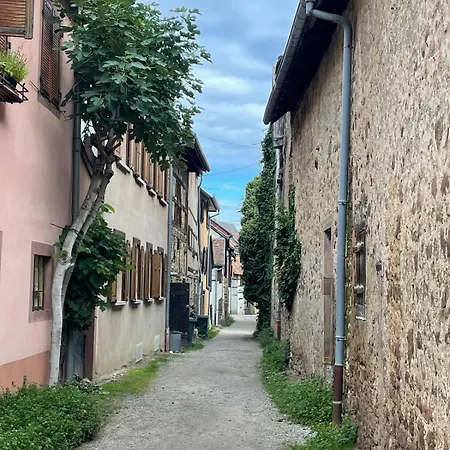 Le Coeur De - Parking&clim Appartement Colmar